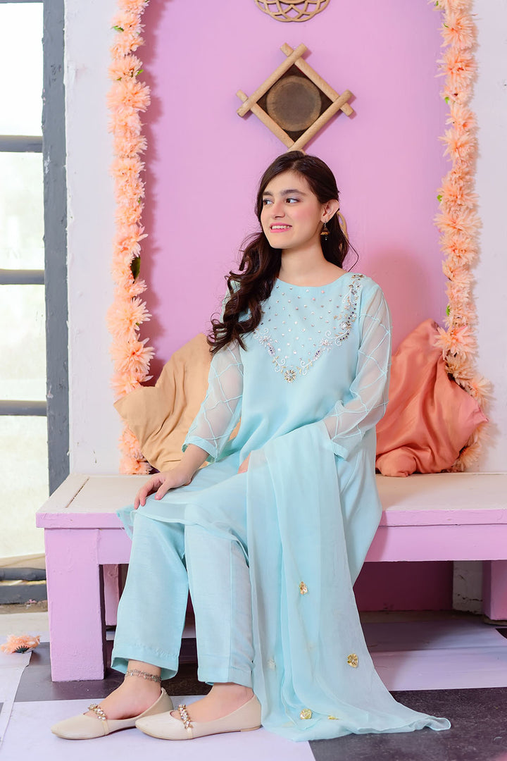 Chiffon Hand Work 3 Pc Suit - Wear Ochre