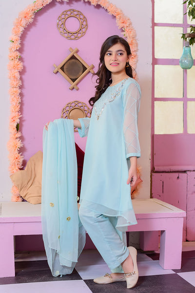 Chiffon Hand Work 3 Pc Suit