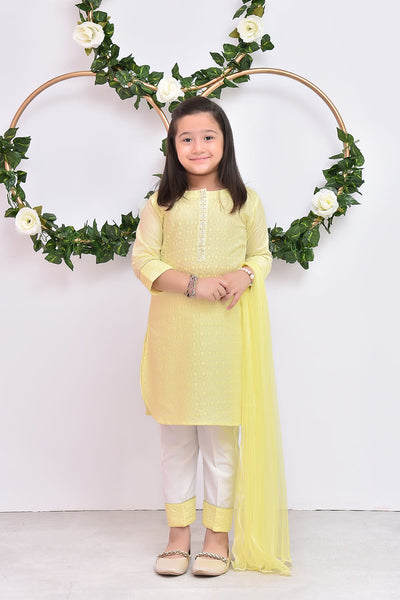 Chikan Kari 3 Pc Suit