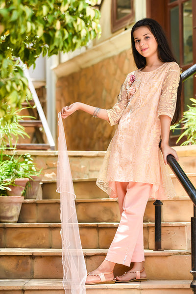 Net Embroidered 3 Pc Suit