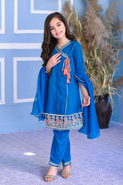 Cotton Embroidered 3 Pc Suit
