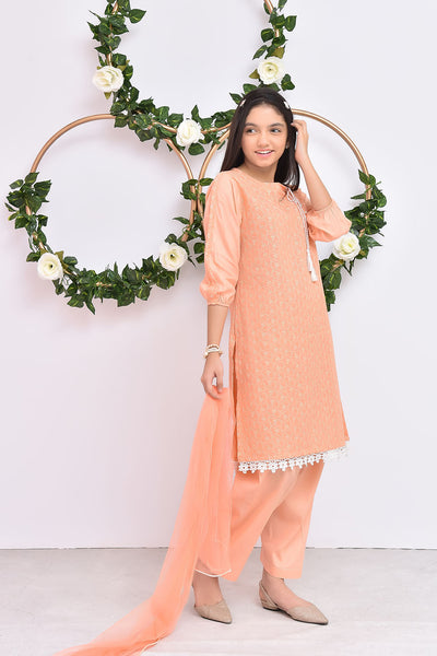 Chikan Kari 3 Pc Suit