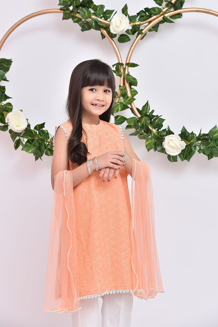 Chikan Kari 3 Pc Suit - Wear Ochre