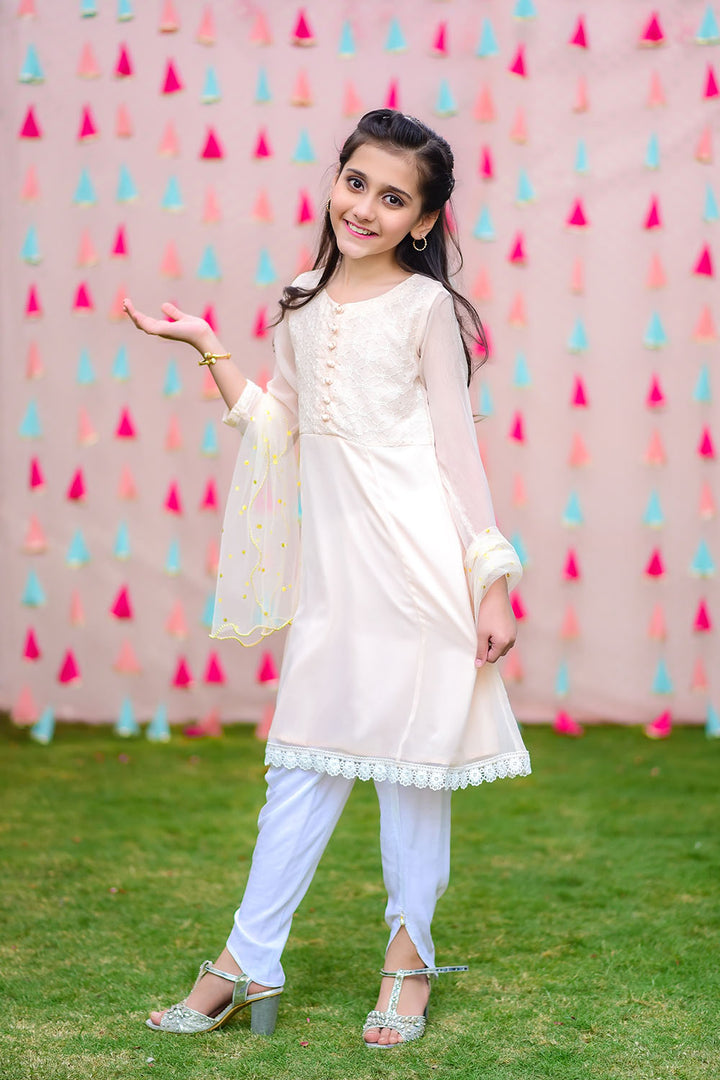 Chiffon Embroidered 3 Pc Suit - Wear Ochre