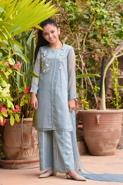 Chiffon Embroidered 3 Pc Suit