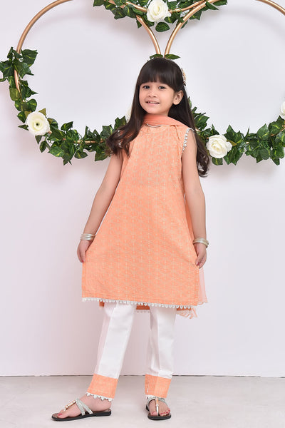 Chikan Kari 3 Pc Suit