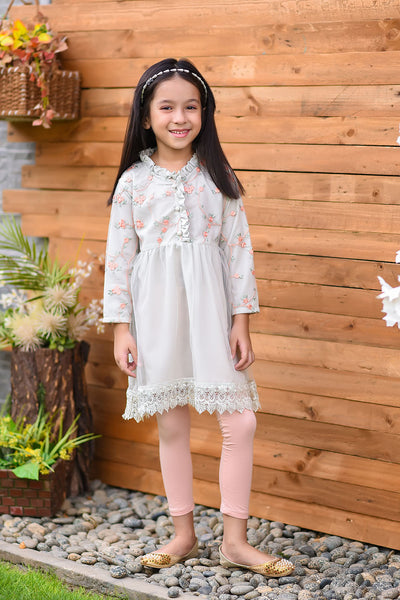 Net Embroidered Top