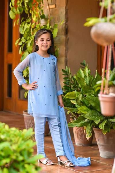 Chiffon Hand Work 3 Pc Suit