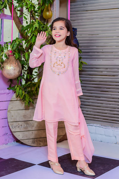 Chiffon Hand Work 3 Pc Suit
