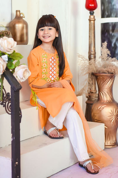 Cotton Embroidered 3 Pc Suit