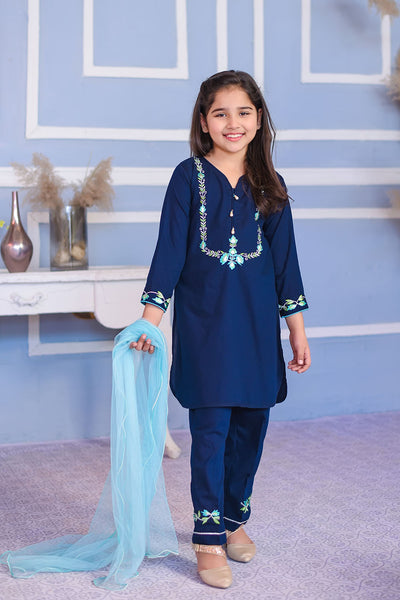 Cotton Embroidered 3 Pc Suit
