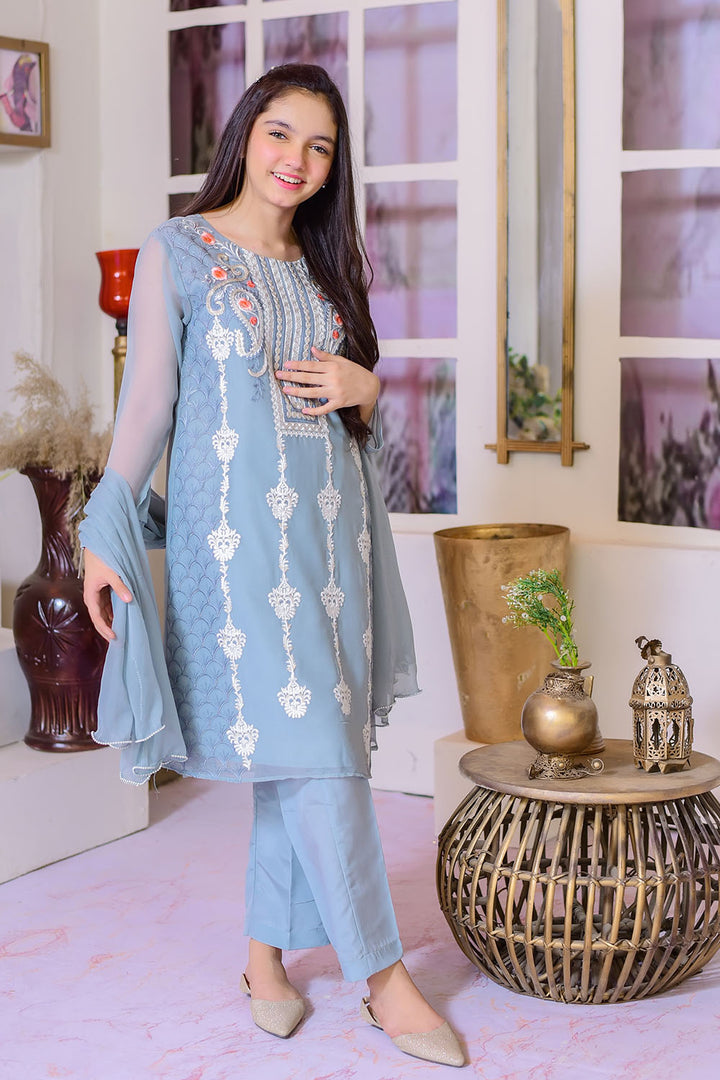 Chiffon Embroidered 3 Pc Suit - Wear Ochre