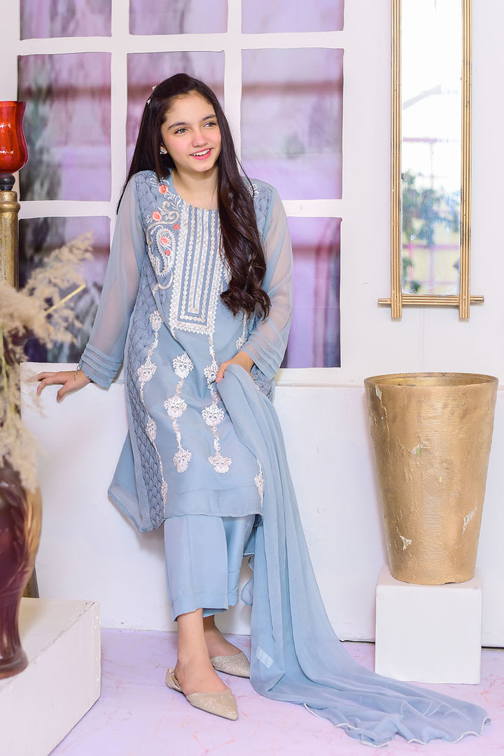 Chiffon Embroidered 3 Pc Suit - Wear Ochre