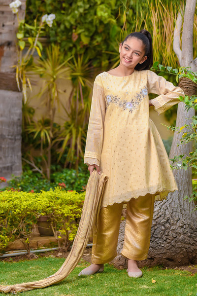 Jacquard Hand Work 3 Pc Suit