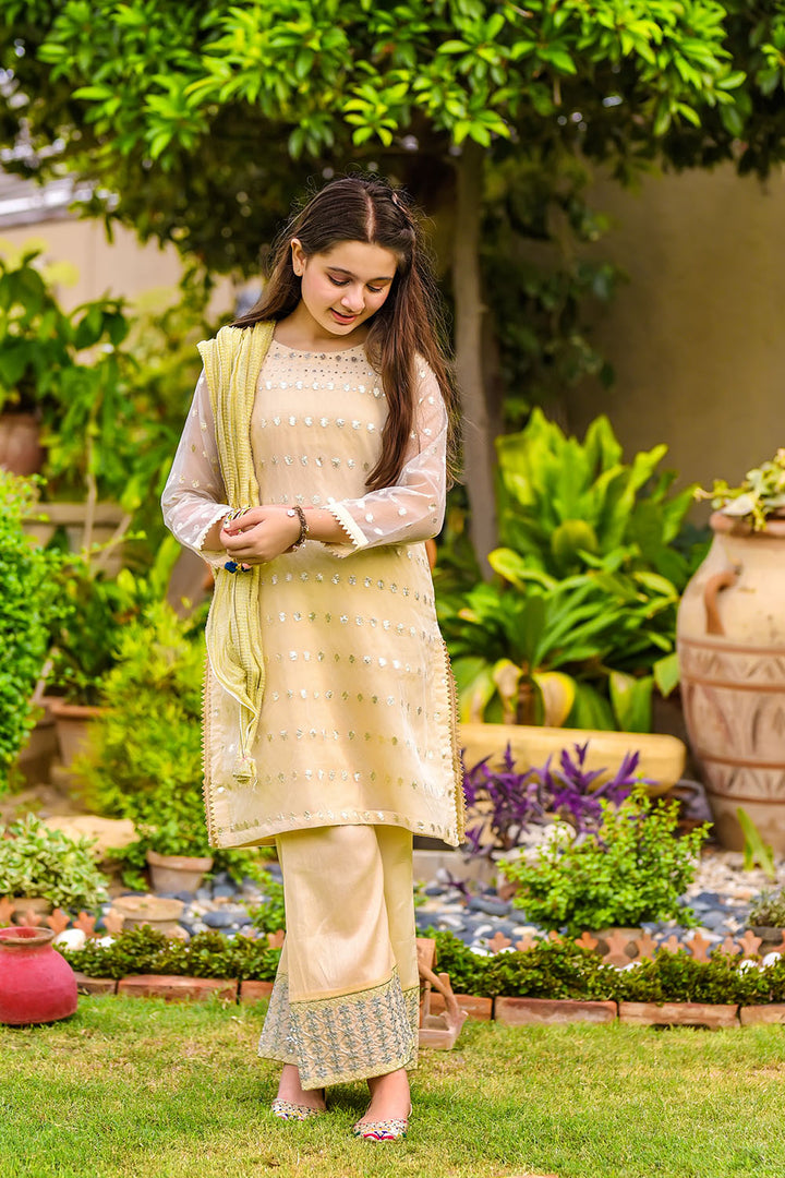 Jacquard Hand Work 3 Pc Suit - Wear Ochre