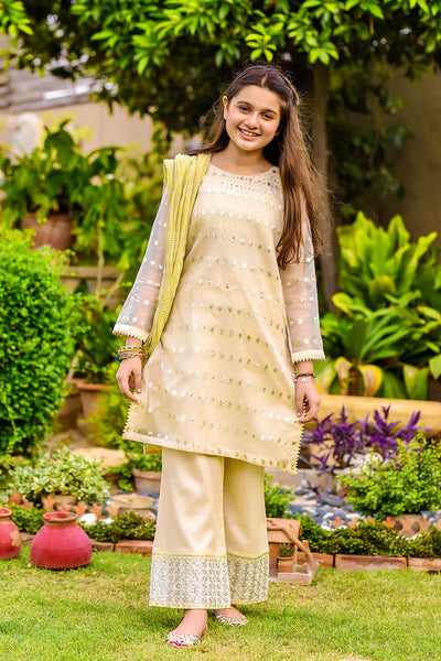 Jacquard Hand Work 3 Pc Suit