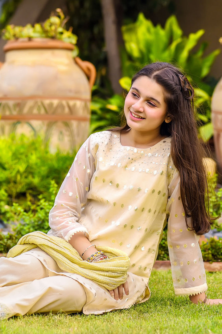 Jacquard Hand Work 3 Pc Suit - Wear Ochre