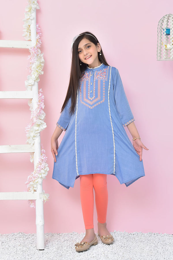 Chambray Embroidered Kurta - Wear Ochre
