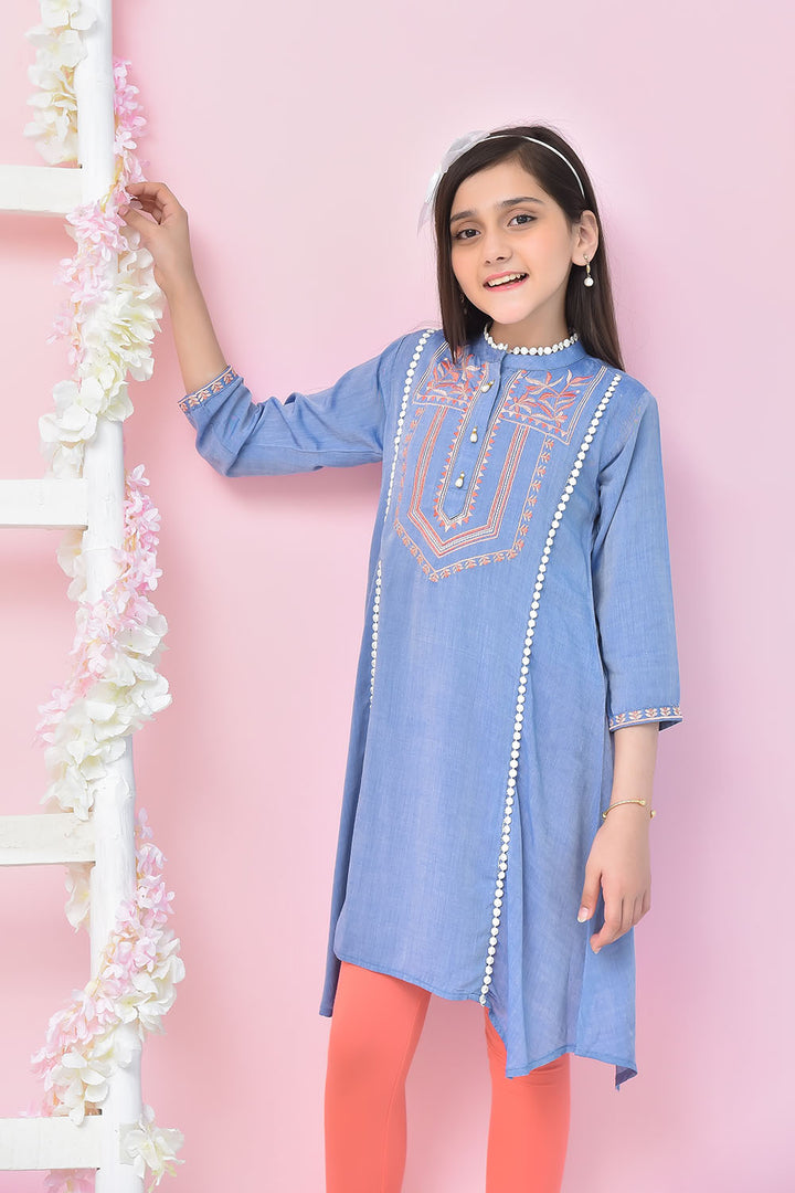 Chambray Embroidered Kurta - Wear Ochre