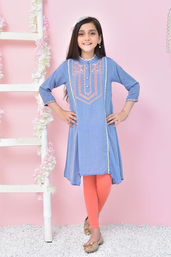 Chambray Embroidered Kurta - Wear Ochre