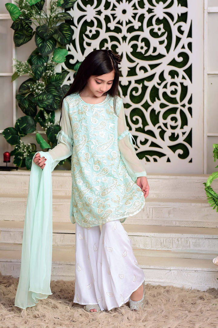Chiffon Embroidered 3 Pc Suit - Wear Ochre