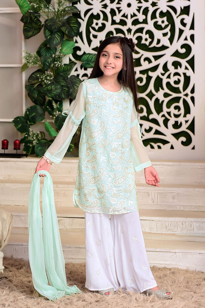 Chiffon Embroidered 3 Pc Suit
