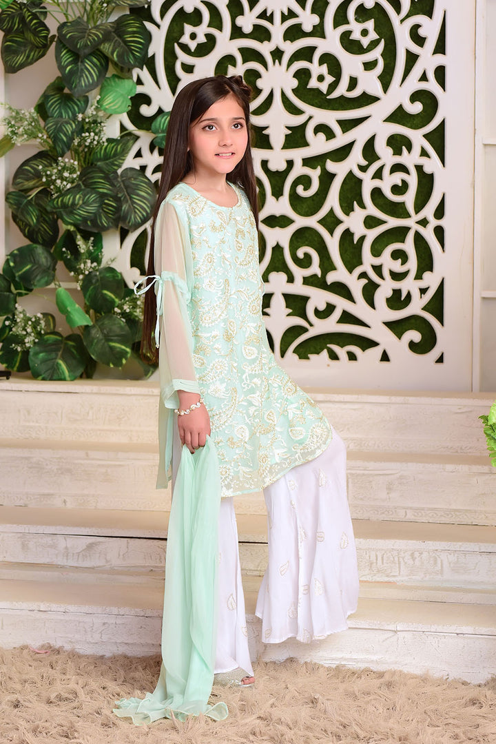 Chiffon Embroidered 3 Pc Suit - Wear Ochre