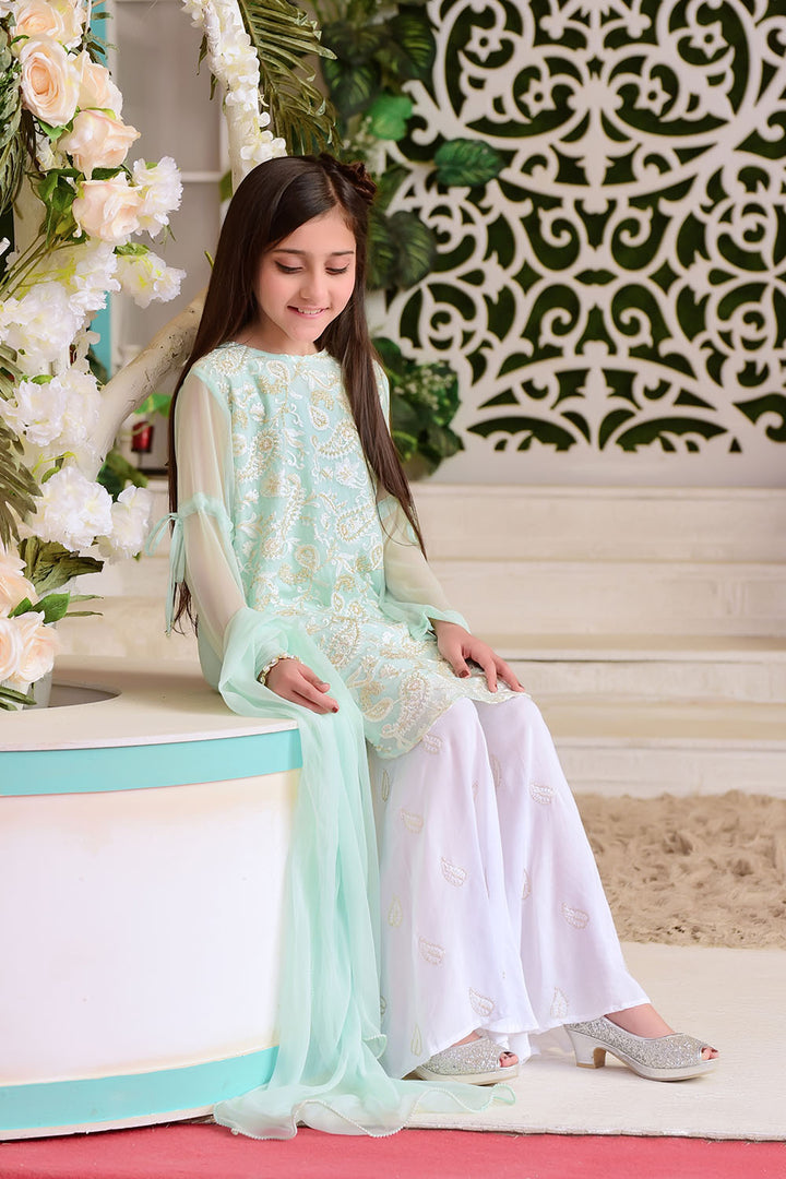 Chiffon Embroidered 3 Pc Suit - Wear Ochre