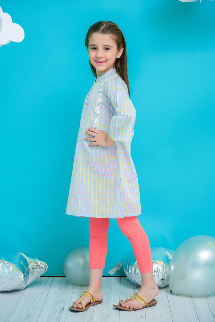 Chambray Embroidered Kurta - Wear Ochre