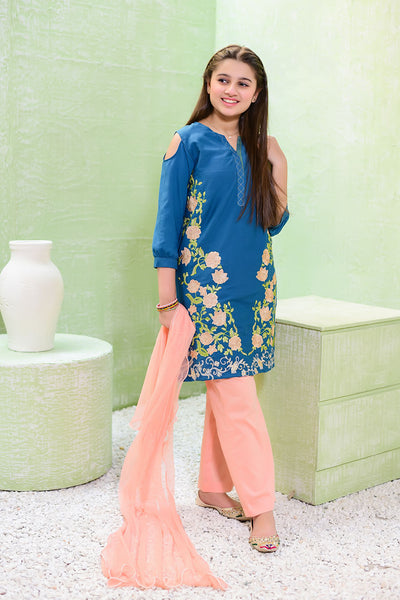 Cotton Embroidered 3 Pc Suit