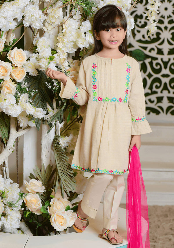 Chambray Embroidered 3 Pc Suit - Wear Ochre