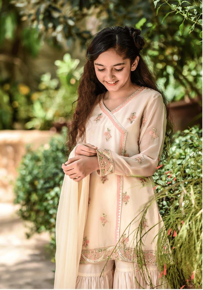Chiffon Embroidered 3 Pc Suit - Wear Ochre