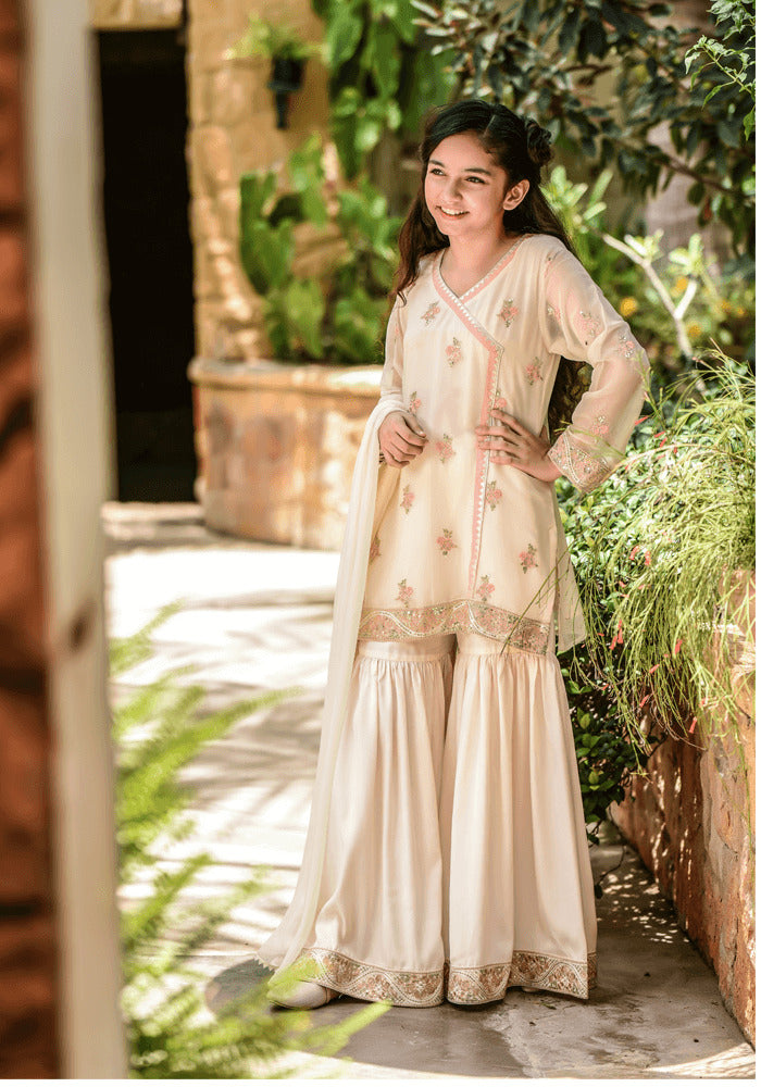 Chiffon Embroidered 3 Pc Suit - Wear Ochre
