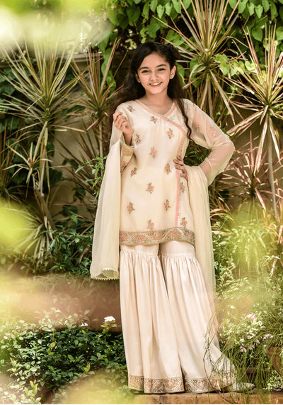 Chiffon Embroidered 3 Pc Suit