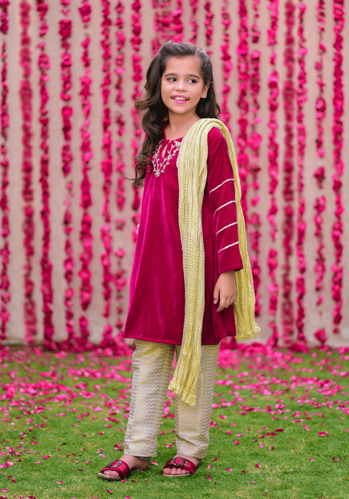 Velvet Hand Work 3 Pc Suit - Wear Ochre