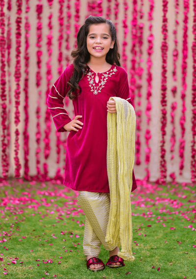 Velvet Hand Work 3 Pc Suit