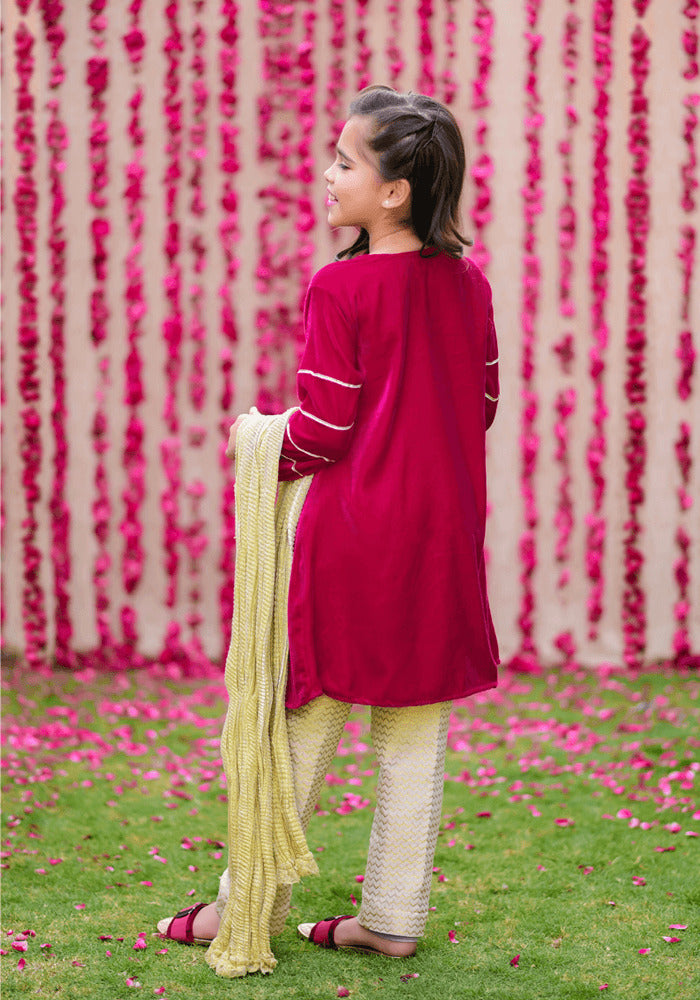 Velvet Hand Work 3 Pc Suit - Wear Ochre