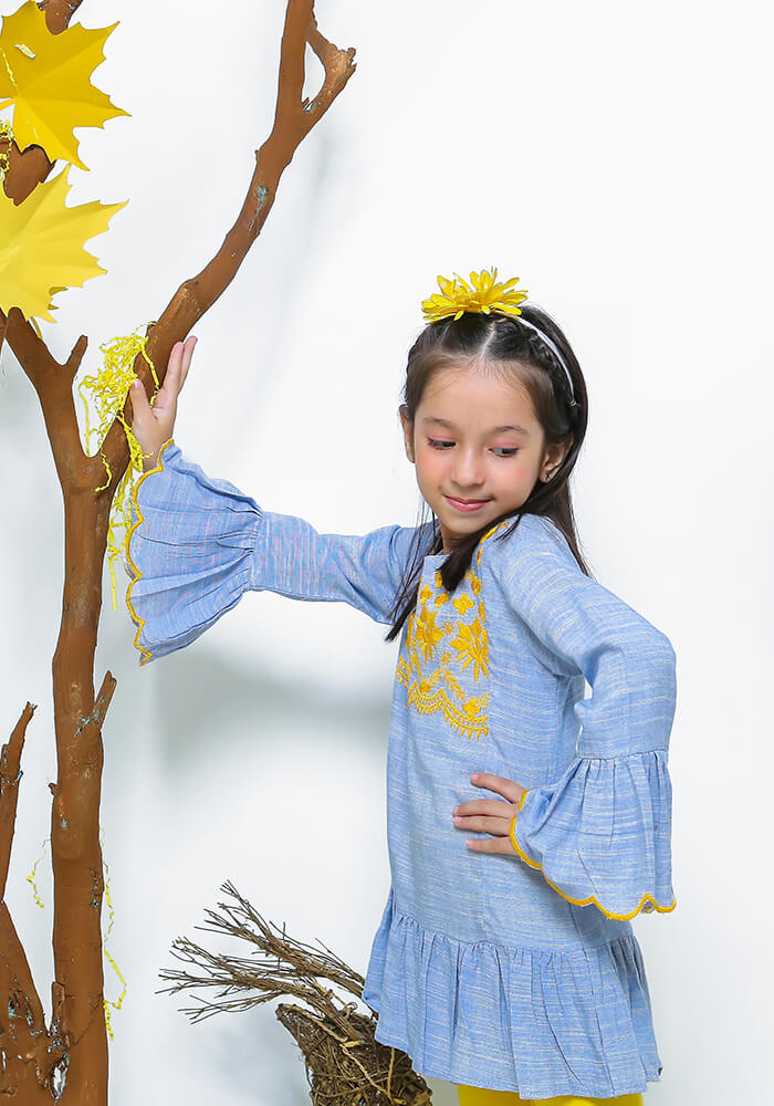 Chambray Embroidered Top - Wear Ochre