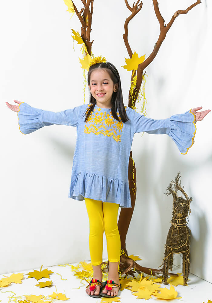 Chambray Embroidered Top - Wear Ochre