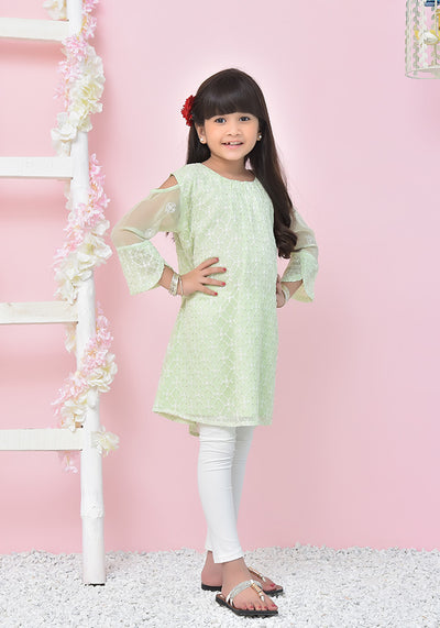 Chiffon Embroidered Top